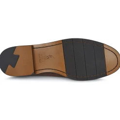 Polo Ralph Lauren ALSTON PENNY-Homme Mocassins & Chaussures Bateau