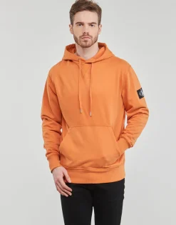 Calvin Klein Jeans BADGE HOODIE-Homme Sweats & Polaires