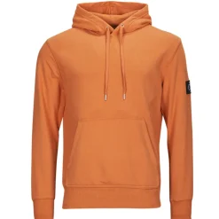 Calvin Klein Jeans BADGE HOODIE-Homme Sweats & Polaires