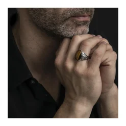 Orusbijoux Bague Homme Symbol Argent Pierre œil De Tigre-Homme Bijoux