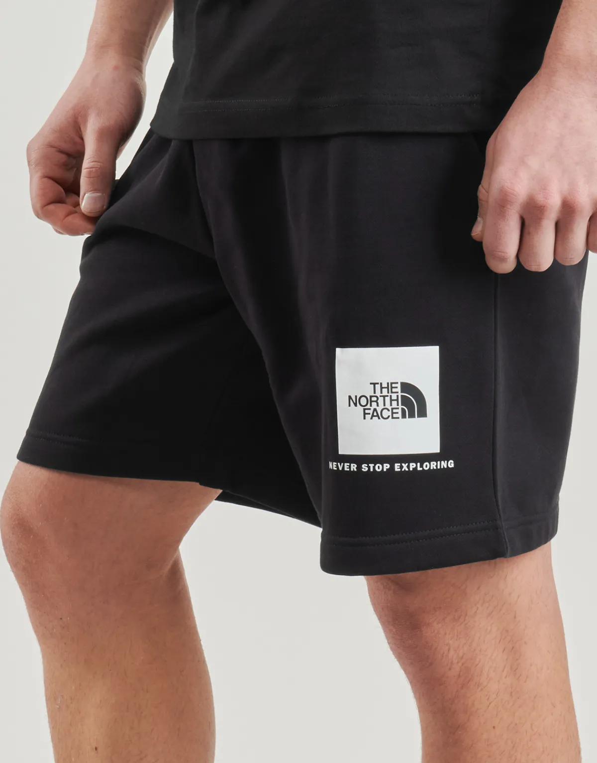 The North Face Box Nse Regular Short-Homme Shorts & Bermudas