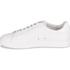 Clae BRADLEY-Homme Baskets Mode