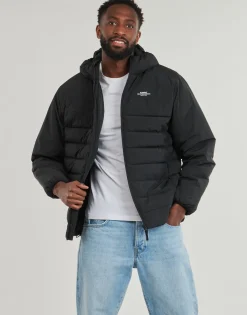 Element CLASSIC INSULATOR-Homme Manteaux