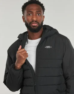 Element CLASSIC INSULATOR-Homme Manteaux