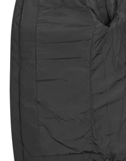 Element CLASSIC INSULATOR-Homme Manteaux