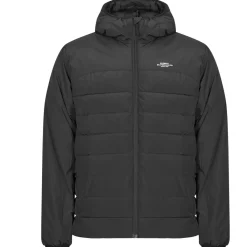 Element CLASSIC INSULATOR-Homme Manteaux