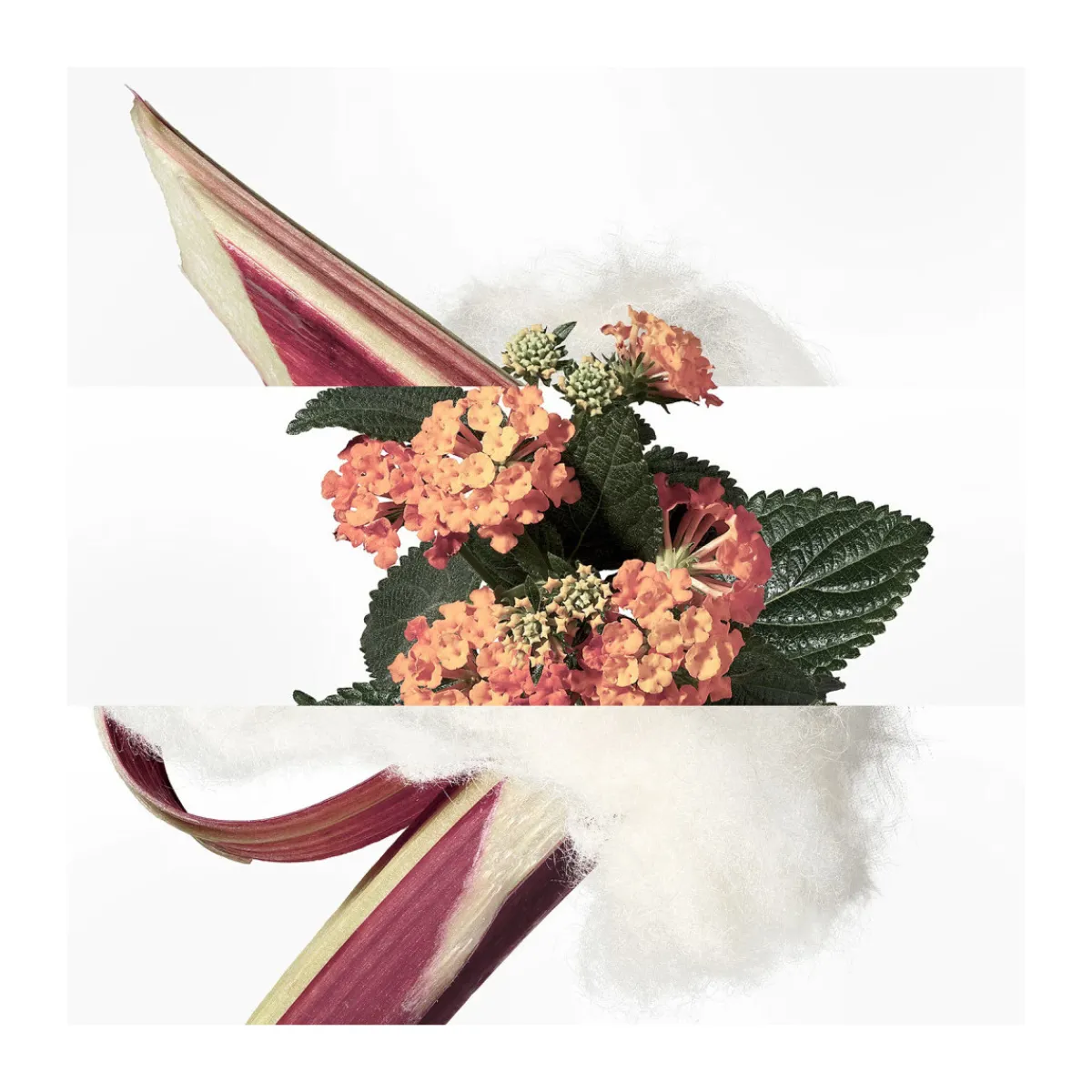 Hermès Paris Eau de Cologne Eau de Rhubarbe Ecarlate 100 ml-Homme Parfums