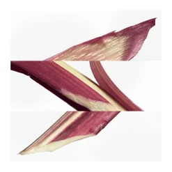 Hermès Paris Eau de Cologne Eau de Rhubarbe Ecarlate 100 ml-Homme Parfums