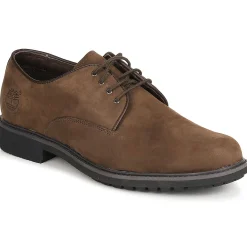 Timberland EK STORMBUCK PLAIN TOE OXFORD-Homme Derbies & Richelieu