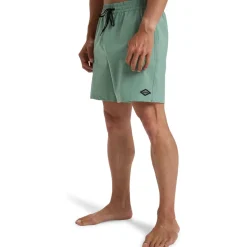 Billabong Every Other Day-Homme Maillots & Shorts De Bain