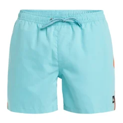 Quiksilver Everyday Beach 15"-Homme Maillots & Shorts De Bain