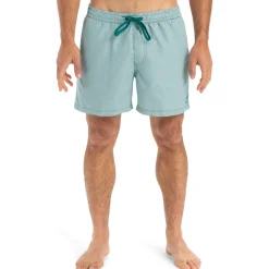 Quiksilver Everyday Deluxe 15"-Homme Maillots & Shorts De Bain