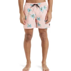 Quiksilver Everyday Straight 15"-Homme Maillots & Shorts De Bain