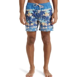 Quiksilver Everyday Straight 15"-Homme Maillots & Shorts De Bain