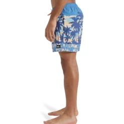 Quiksilver Everyday Straight 15