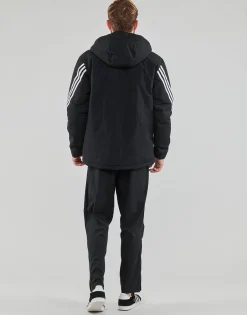 adidas FUTURE ICONS-Homme Manteaux