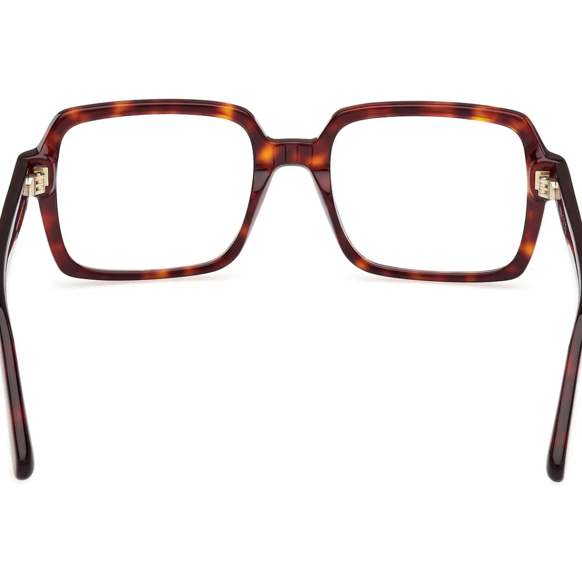 Gcds GD5040 Cadres Optiques, Havana, 54 mm-Homme Lunettes De Soleil