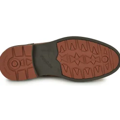 Fluchos 1342-HABANA-CAMEL-Homme Bottines / Boots