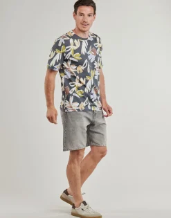 Jack & Jones JJITONY-Homme Shorts & Bermudas