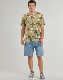 Jack & Jones JJITONY-Homme Shorts & Bermudas