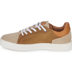 Pellet JOSEPH-Homme Baskets Mode