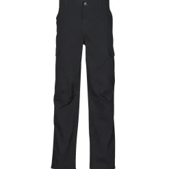 Dickies MILLERVILLE-Homme Pantalons