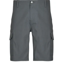 Dickies MILLERVILLE SHORT-Homme Shorts & Bermudas