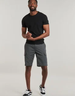 Dickies MILLERVILLE SHORT-Homme Shorts & Bermudas