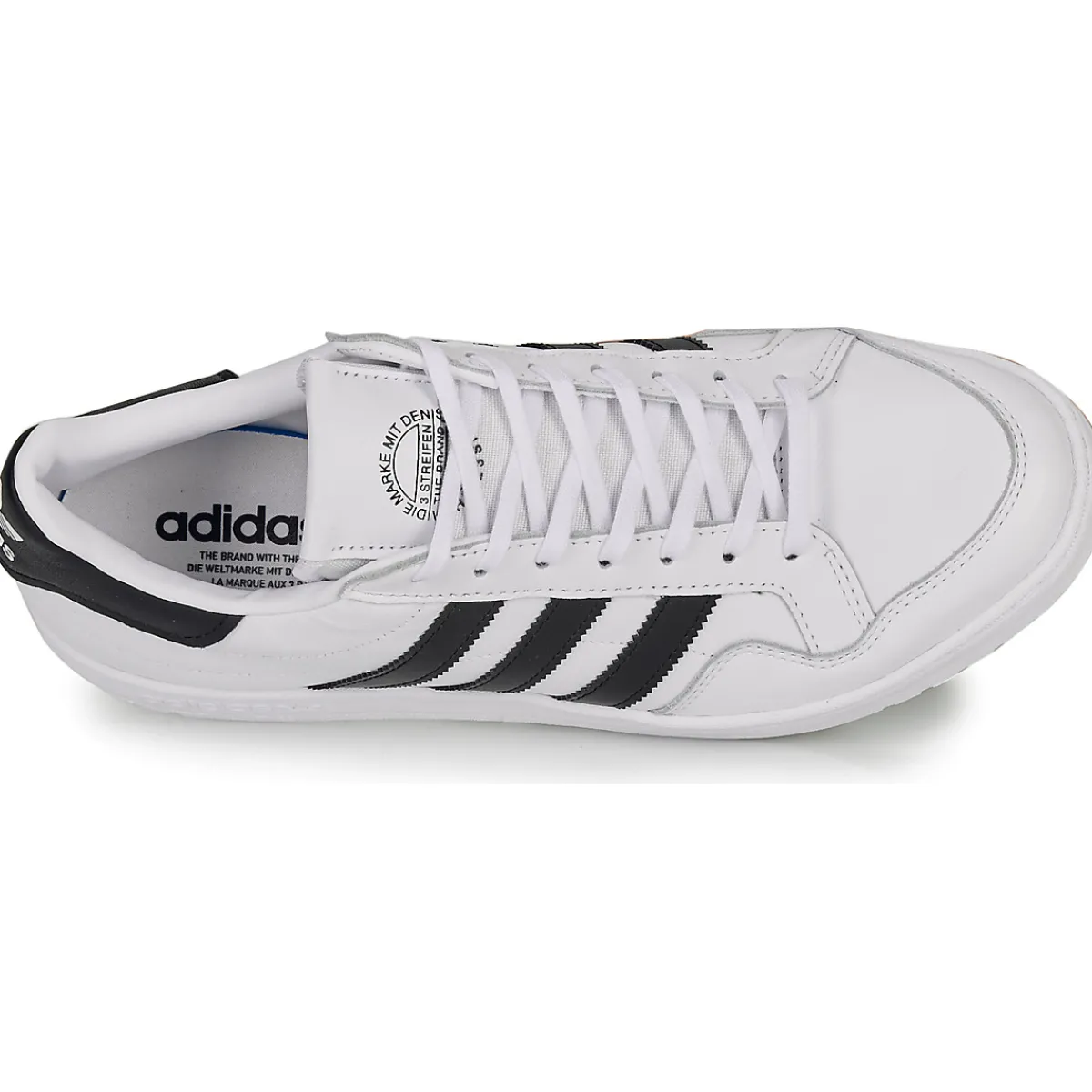 adidas MODERN 80 EUR COURT-Homme Sport Indoor