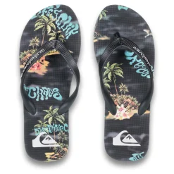 Quiksilver Molokai Art 25-Homme Tongs