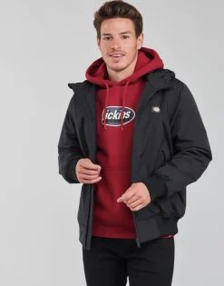 Dickies NEW SARPY JACKET-Homme Vestes
