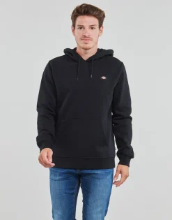 Dickies OAKPORT HOODIE-Homme Sweats & Polaires