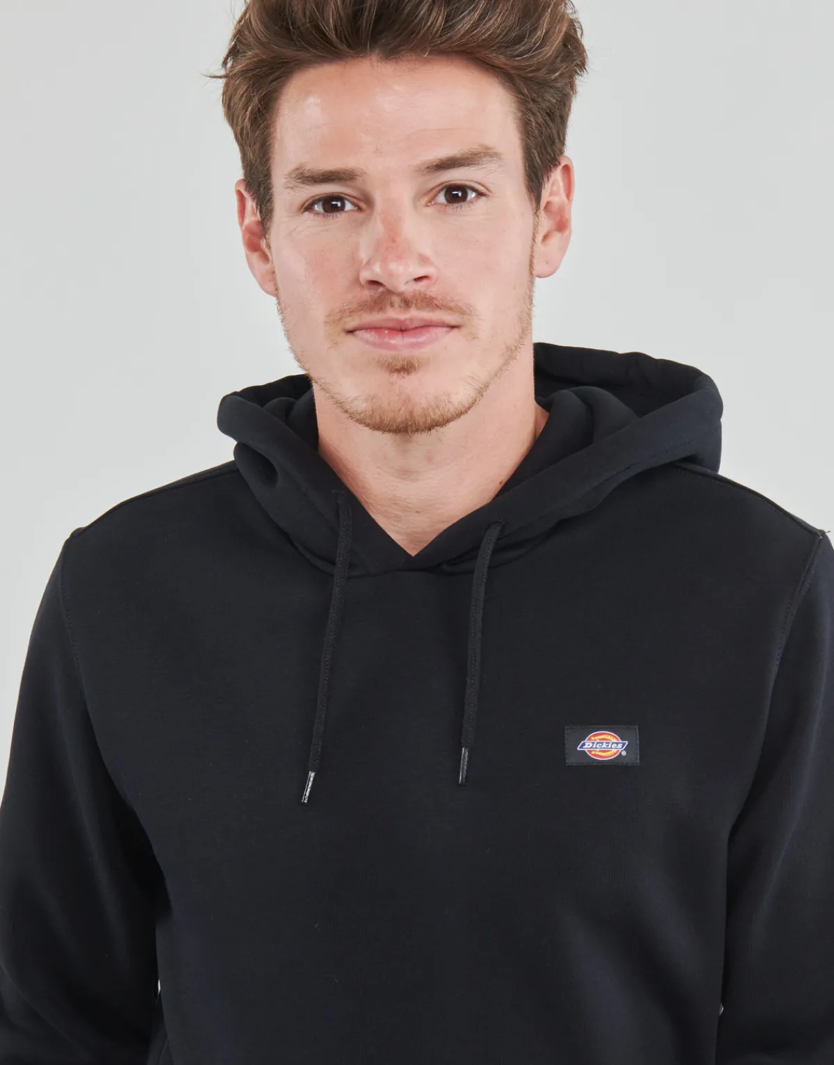 Dickies OAKPORT HOODIE-Homme Sweats & Polaires