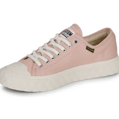 Palladium PALLA ACE CVS ORG-Homme Randonnée