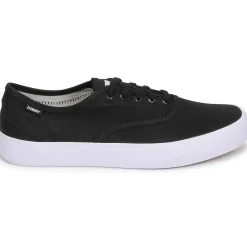 Element PASSIPH-Homme Bmx / Skate