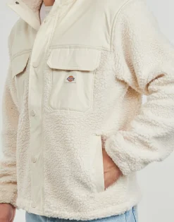 Dickies PINESDALE JACKET-Homme Vestes