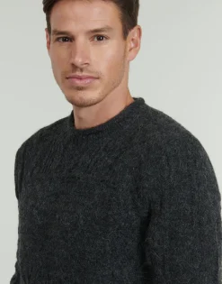 Polo Ralph Lauren PULL ARAN FLAG-Homme Pulls & Gilets