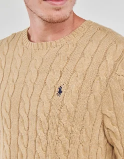 Polo Ralph Lauren PULL COL ROND EN MAILLE TORSADEE-Homme Pulls & Gilets