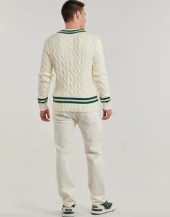 Polo Ralph Lauren PULL CRICKET COL V-Homme Pulls & Gilets