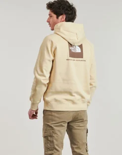 The North Face Raglan Box Nse Hoodie-Homme Sweats & Polaires
