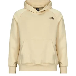 The North Face Raglan Box Nse Hoodie-Homme Sweats & Polaires