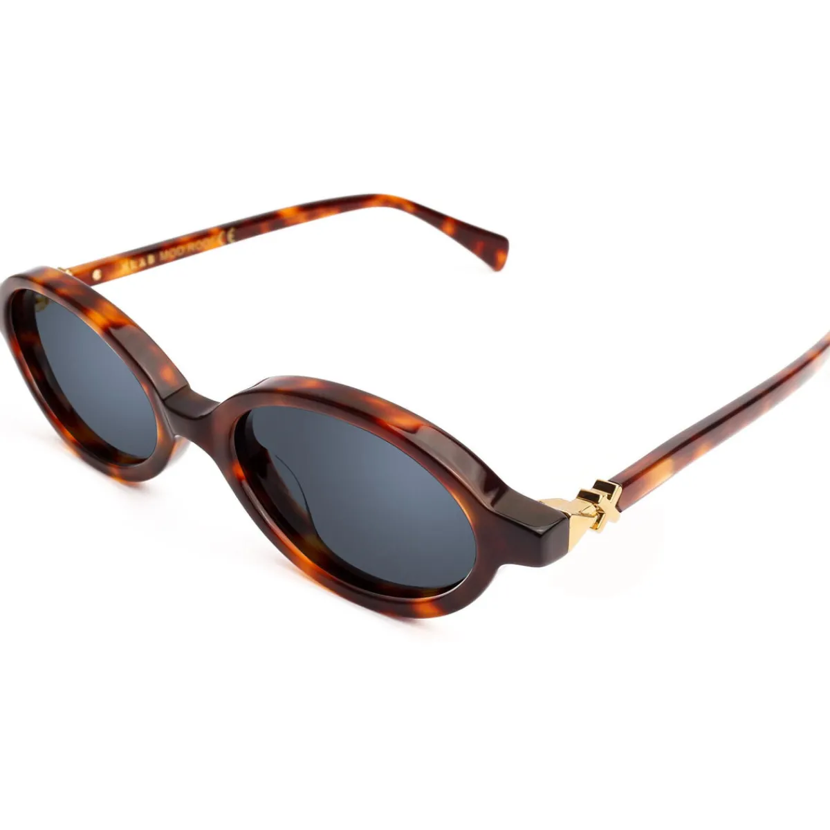 Xlab Rodi photochromique couleur écaille/verres neutres gris pho-Homme Lunettes De Soleil