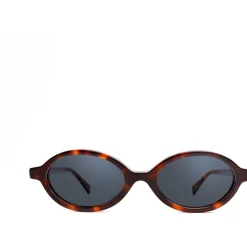 Xlab Rodi photochromique couleur écaille/verres neutres gris pho-Homme Lunettes De Soleil