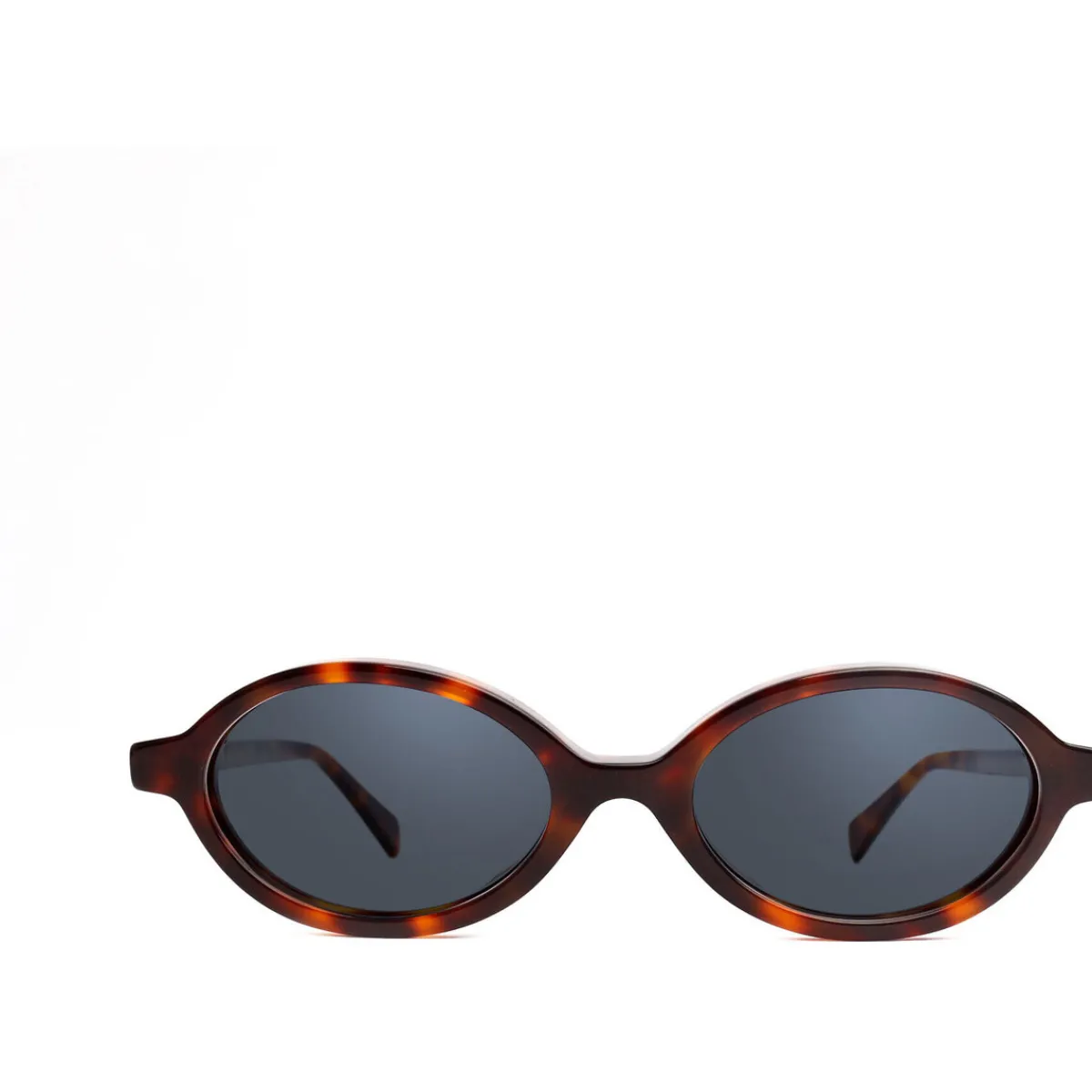 Xlab Rodi photochromique couleur écaille/verres neutres gris pho-Homme Lunettes De Soleil