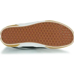 Vans ROWLEY CLASSIC-Homme Bmx / Skate