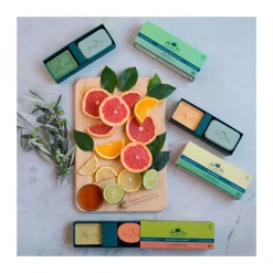 Dr. Tree Shampooing Et Gel Solides Hydratation Pour Enfants Etui Peaux S-Homme Soins Corps & Bain