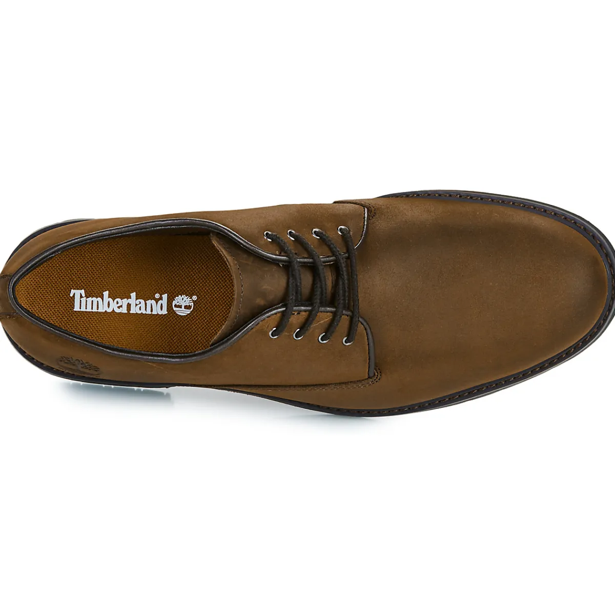 Timberland STORMBUCKS LACE UP-Homme Derbies & Richelieu