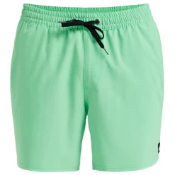 Quiksilver Surfsilk Solid 16"-Homme Maillots & Shorts De Bain