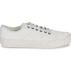 Globe SURPLUS-Homme Bmx / Skate