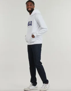 Polo Ralph Lauren SWEATSHIRT CAPUCHE EN MOLLETON-Homme Sweats & Polaires